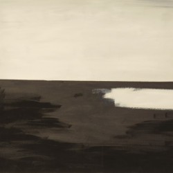 Black and-or white horizon.