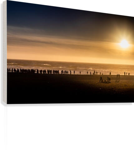 Abstract 28 Canvas Print