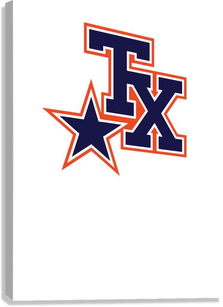 Houston Texans 21 Canvas Print