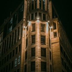 Night life