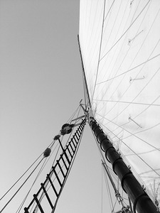 Tall Sail