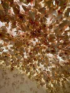 Efflorescence
