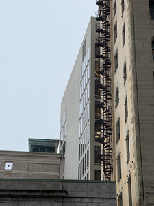 Cochlear Court