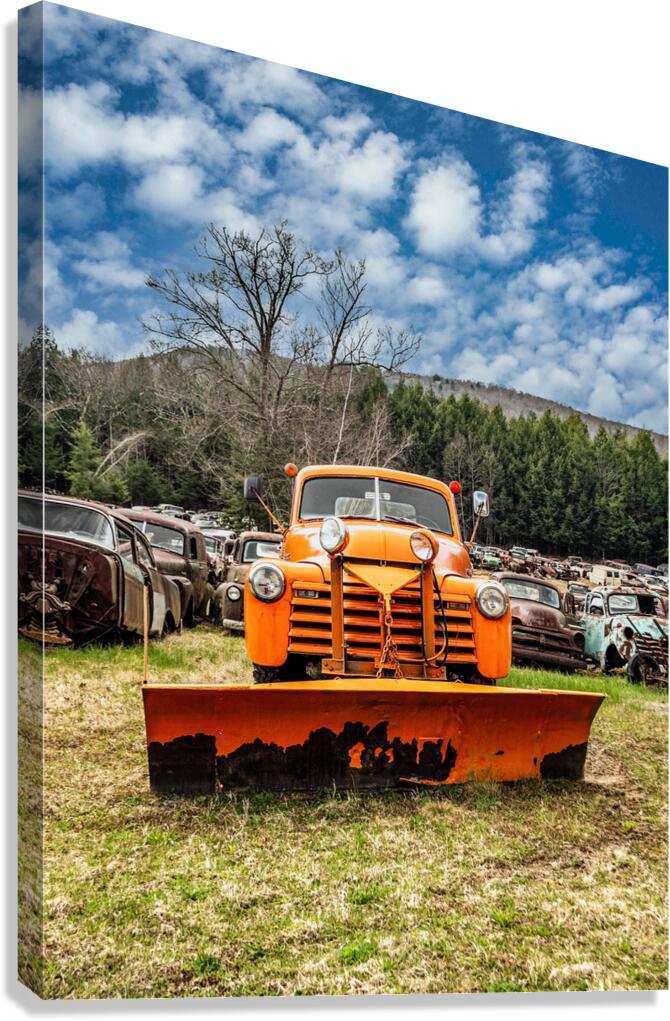Orange Slush Canvas Print