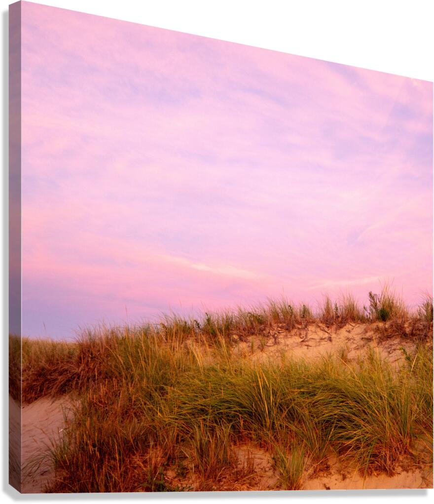 Lieutenant Dunes Canvas Print