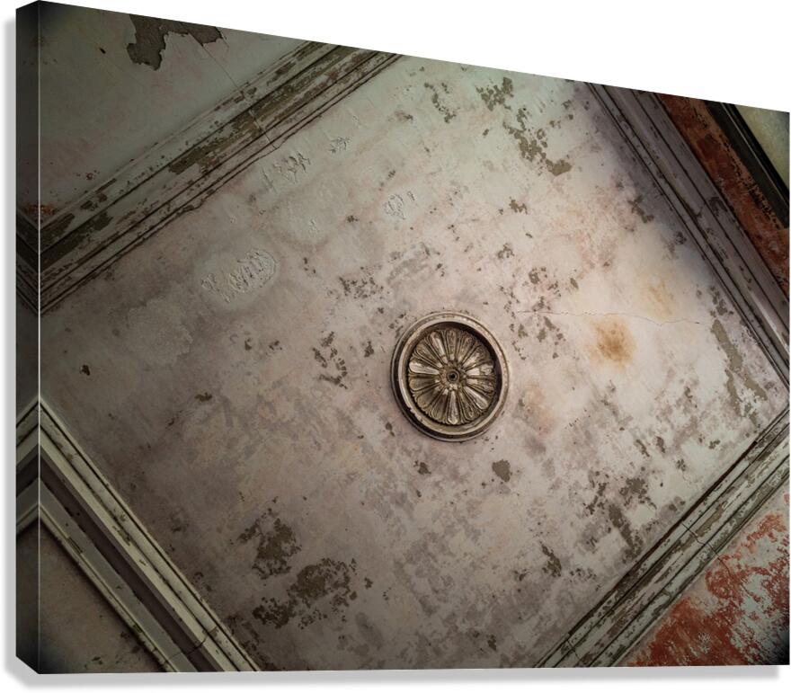 Adams Rosette Canvas Print