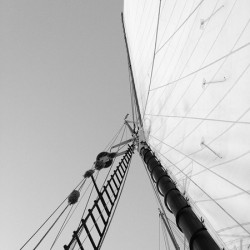 Tall Sail