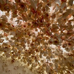 Efflorescence