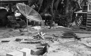 Backyard in Brazil 