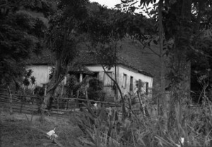 House in the bush