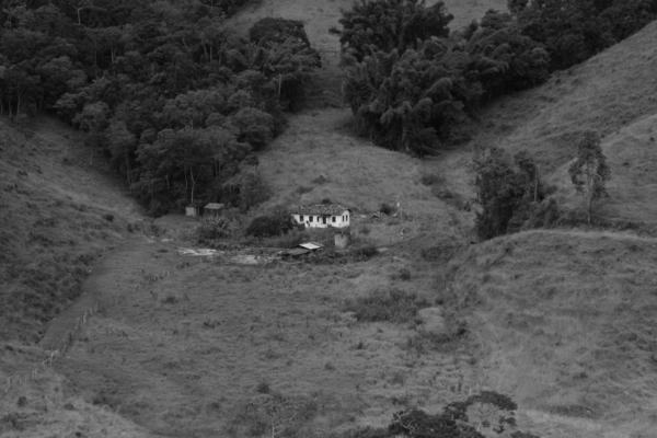 House in the middle of the bush by Pedro Mendes