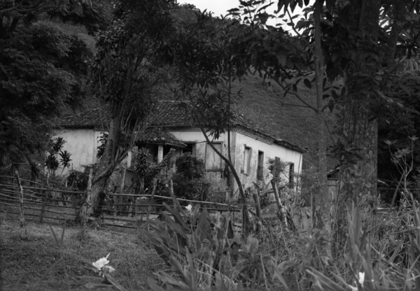 House in the bush by Pedro Mendes