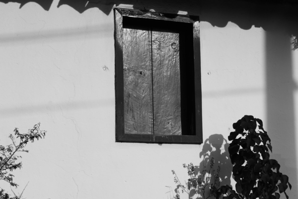 Window Print
