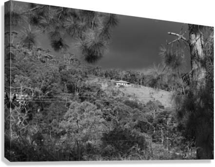 Isolated Canvas Print