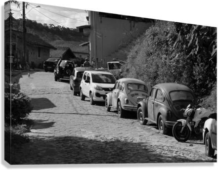 Fuscas Canvas Print