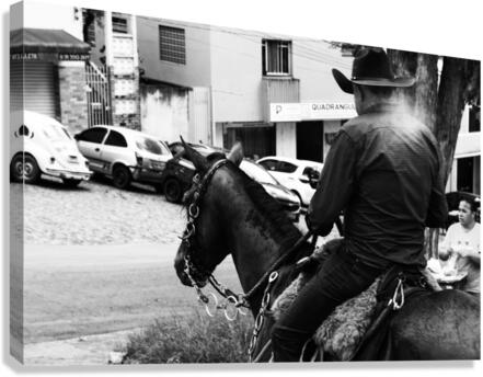 Boiadeiro Canvas Print