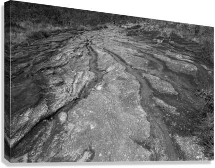Mountain Canvas Print