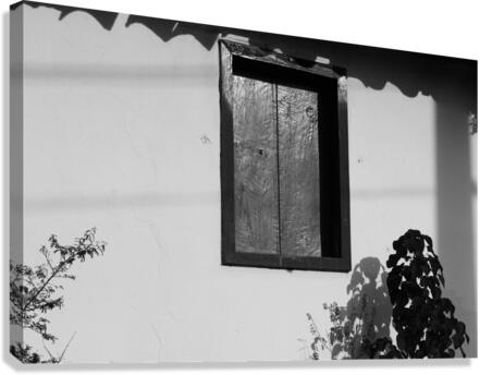 Window Canvas Print