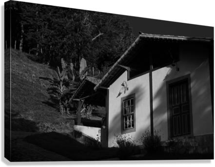 House Canvas Print