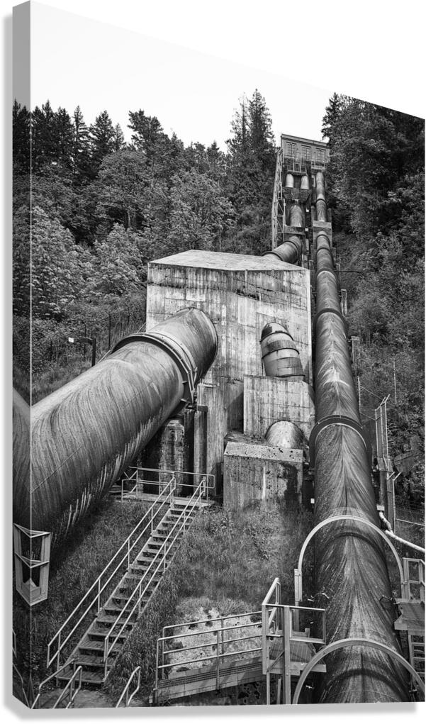 Waterworks Canvas Print