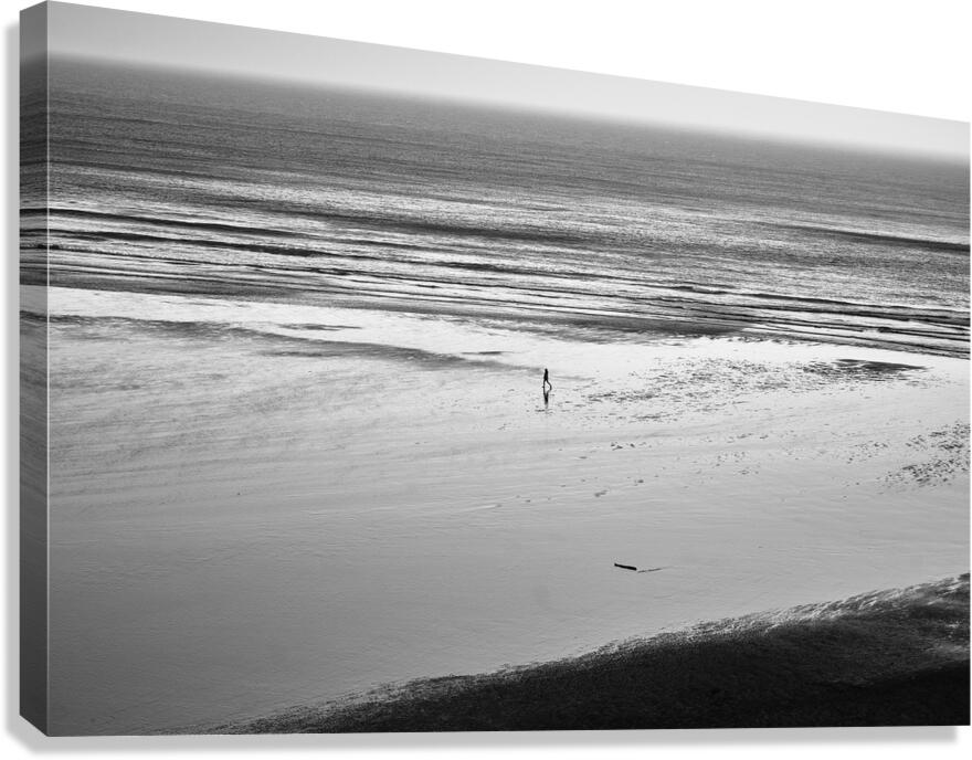 Alone Canvas Print