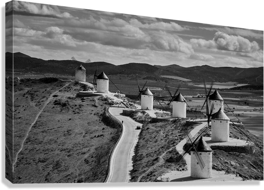 Catching the Wind Canvas Print