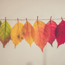 Autumn