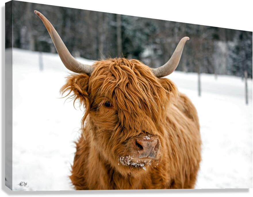 Ginette Canvas Print