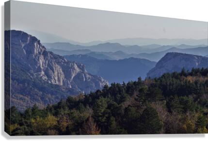 DSC02796 Canvas Print