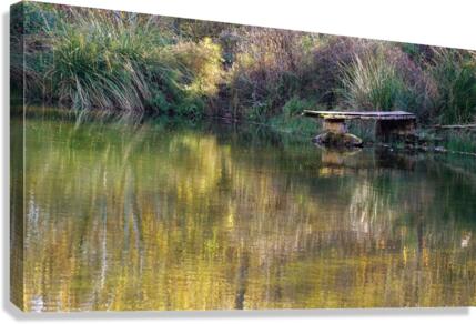 DSC02832 Canvas Print