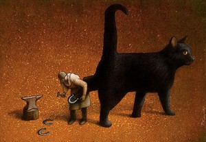 Black cat