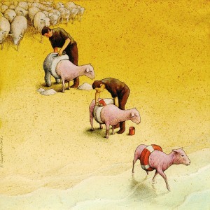 Sheep