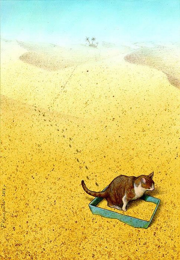 Cat Sandbox Print