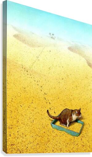 Cat Sandbox Canvas Print
