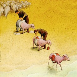 Sheep
