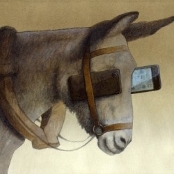 blinkers
