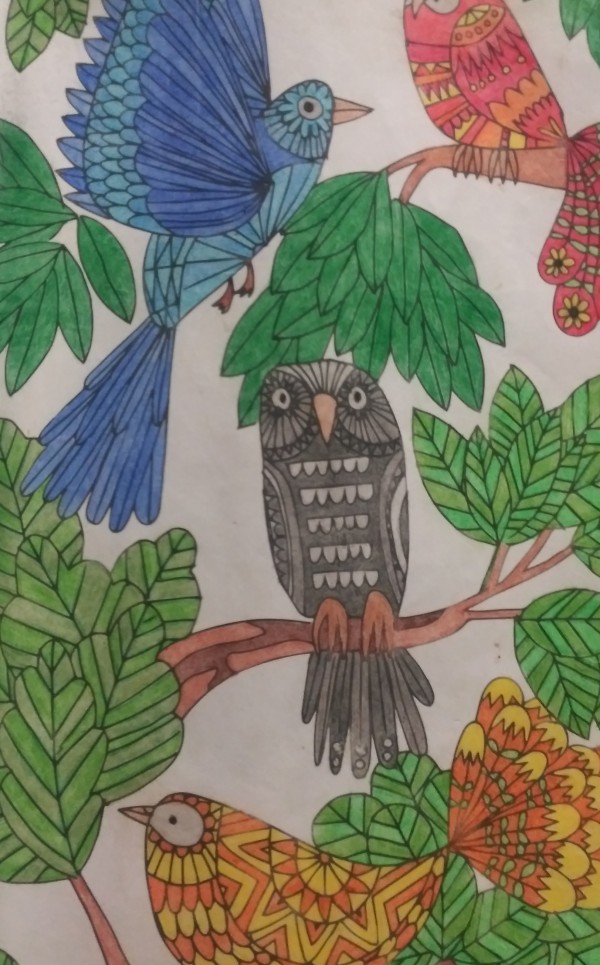 Owls Print