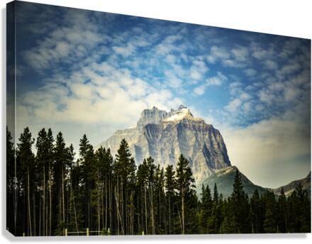 Mountain Views Canvas Print
