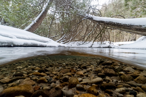 Winter stream 1 Print