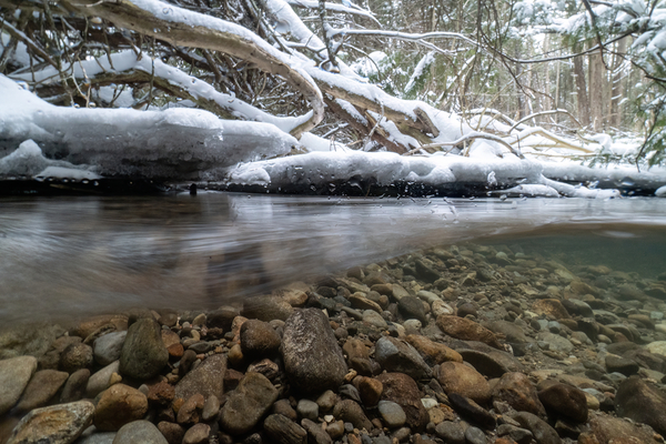 Winter stream 2 Print