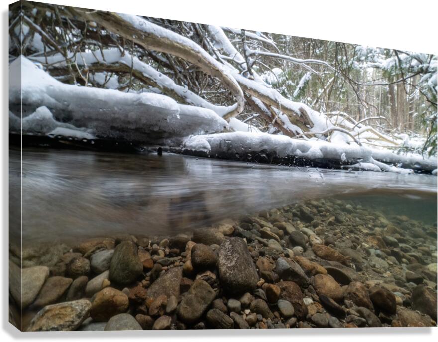 Winter stream 2 Canvas Print