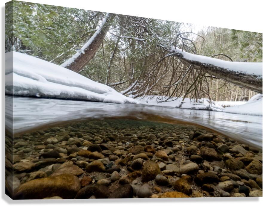 Winter stream 1 Canvas Print