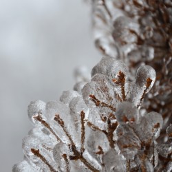 Ice storm