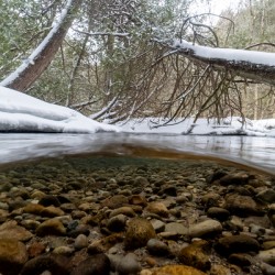 Winter stream 1