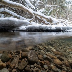 Winter stream 2