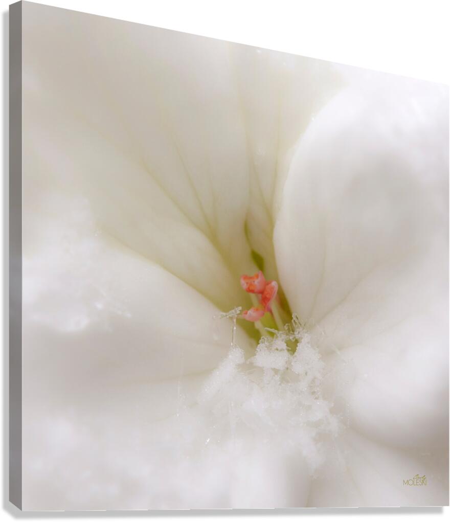 Ice Canvas Print