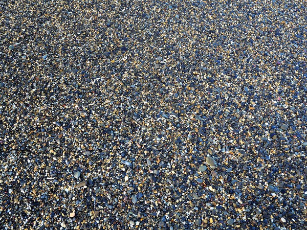 Smooth Shiny Pebbles on a Beach by Michaela Scherr