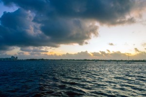 _DSC0443