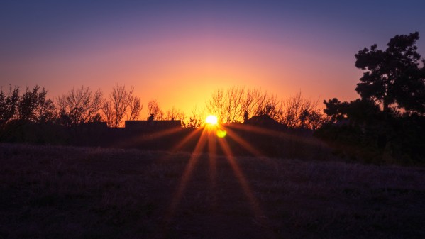 _DSC1470 Print