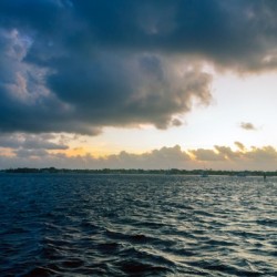 _DSC0443
